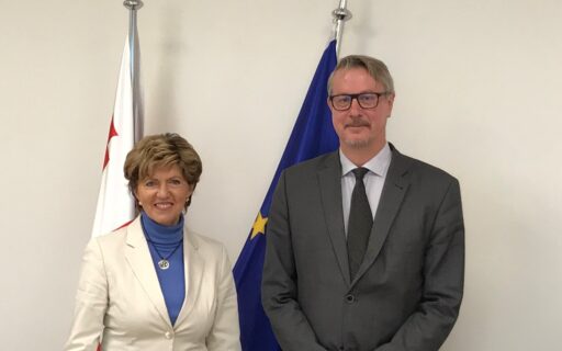 Vaidere vada EP vēlēšanu novērošanas misiju Gruzijā